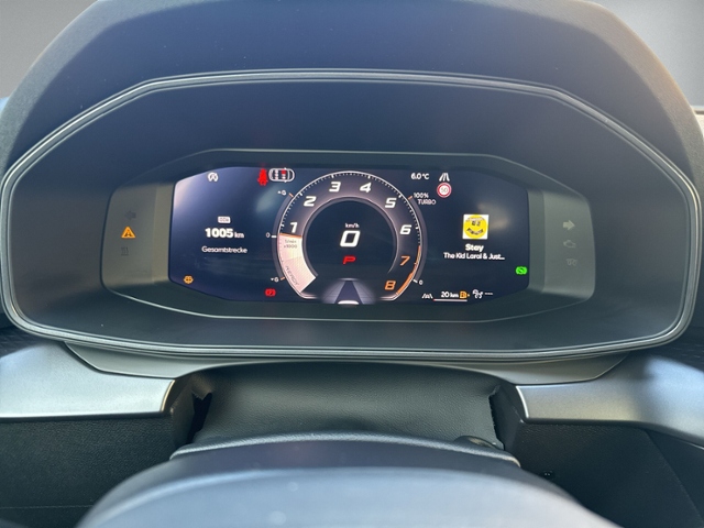 Formentor 1.5 eTSI DSG LED+ACC+PDC+SITZHEIZU+NSW